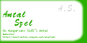 antal szel business card